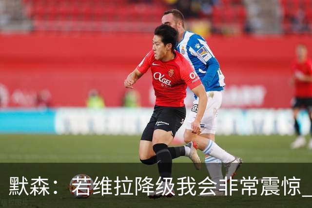 默森：若维拉降级我会非常震惊 阿森纳将以两位数积分优势夺冠